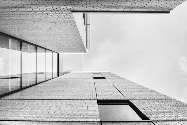 Die Bedeutung von Soft Skills an Handelshochschulen